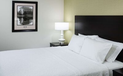 King bed at Hampton Inn & Suites Gainesville-Downtown.