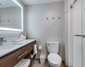 Private guest bathroom with shower and free toiletries at Home2 Suites By Hilton Dallas Medical District Lovefield.