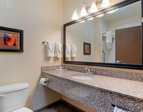 Private guest bathroom with free toiletries at Comfort Suites Alexandria, LA.