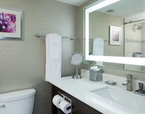 Guest bathroom at Crowne Plaza Chicago SW.