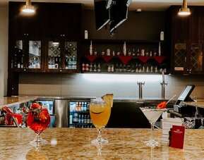 Bar at Crowne Plaza Chicago SW.