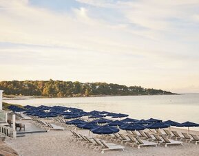 Beach lounge chairs at Sea Crest Beach Hotel.