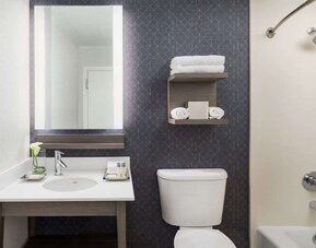 Private guest bathroom with combined shower and tub at Hotel Caza.
