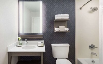 Private guest bathroom with combined shower and tub at Hotel Caza.