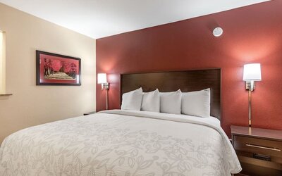 King bed at Red Roof PLUS+ & Suites Houston - IAH Airport SW.