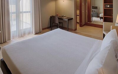 NH Linate Hotel