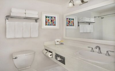 Guest bathroom with shower at The Anaheim Hotel.