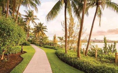 Hotel garden at Hilton Miami Airport Blue Lagoon.