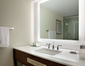 Private guest bathroom with shower and free toiletries at Hilton Miami Airport Blue Lagoon.