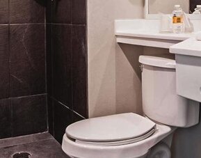 City Express Plus by Marrriott Guadalajara Palomar