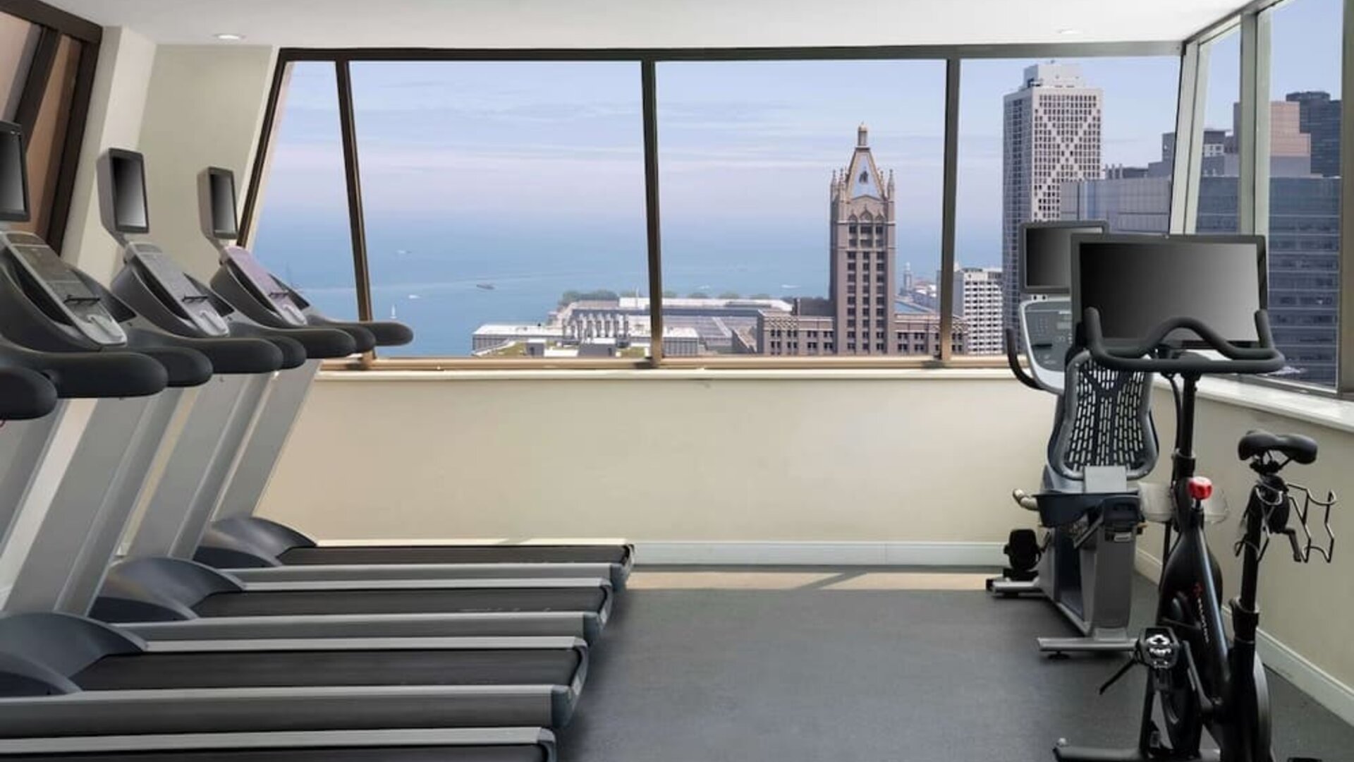 Fitness center at Homewood Suites By Hilton Chicago Downtown/Magnificent Mile.
