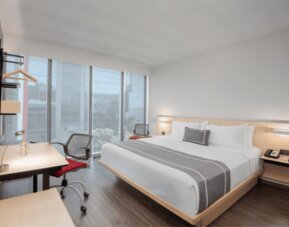 City Express Plus by Marriott Insurgentes Sur