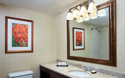 Day use room at Embassy Suites By Hilton Parsippany.