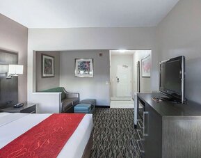 Day use room at Comfort Suites Lewisville.