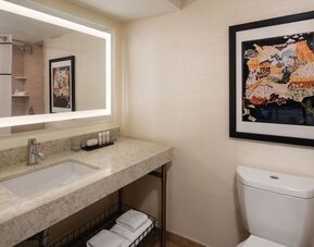 Guest bathroom with shower at Embassy Suites by Hilton San Francisco Airport.