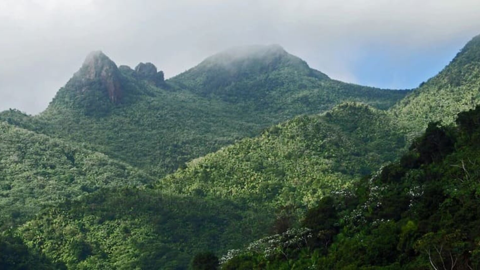 Local natural landmark at DREAMCATCHER By DW.