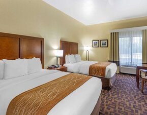 Day use room at Comfort Inn & Suites North Aurora - Naperville.