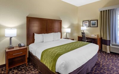 Day use room at Comfort Inn & Suites North Aurora - Naperville.