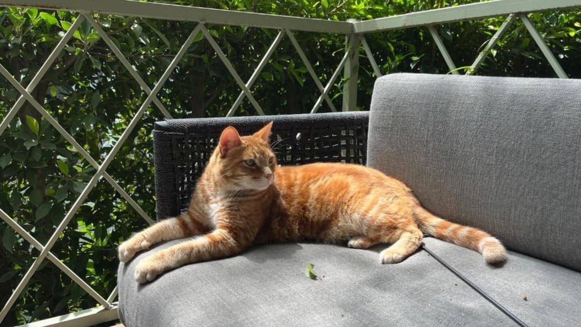 Outdoor terrace at Beverly Hills Spanish.