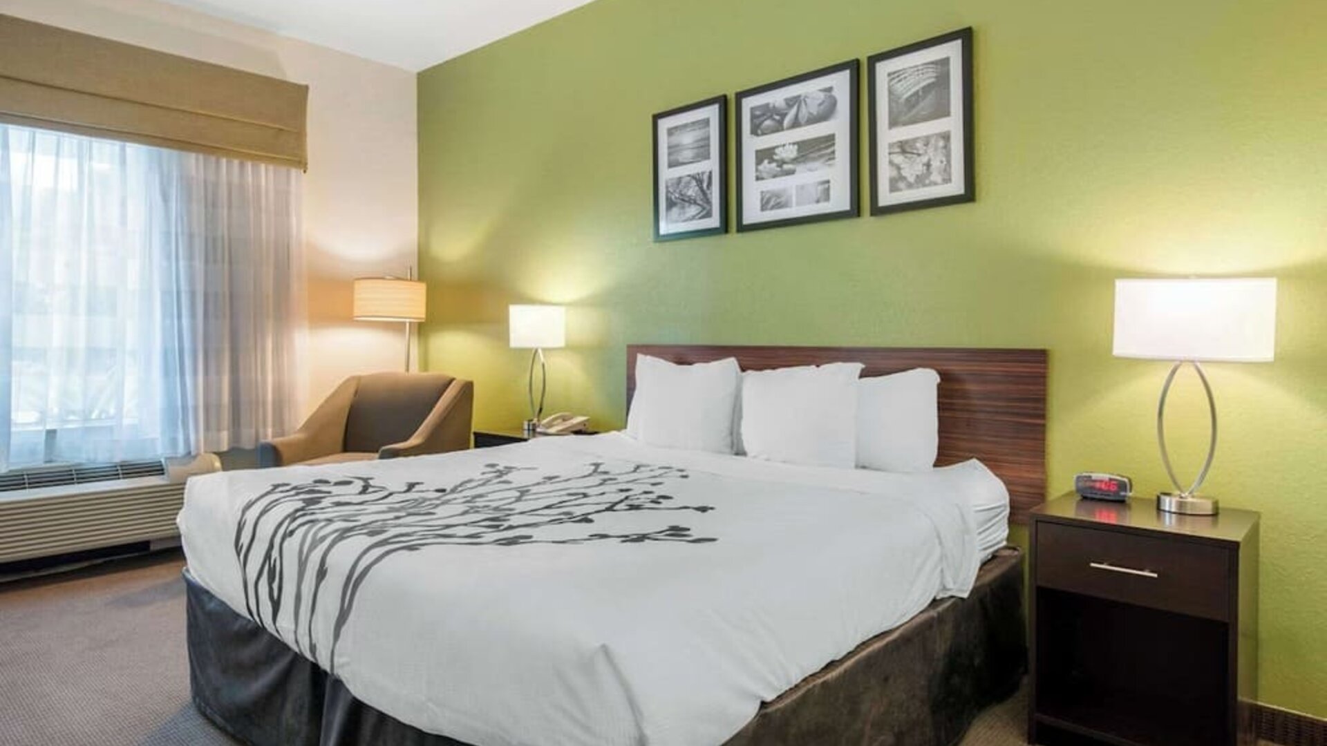 Day use room at Sleep Inn & Suites Port Charlotte - Punta Gorda.