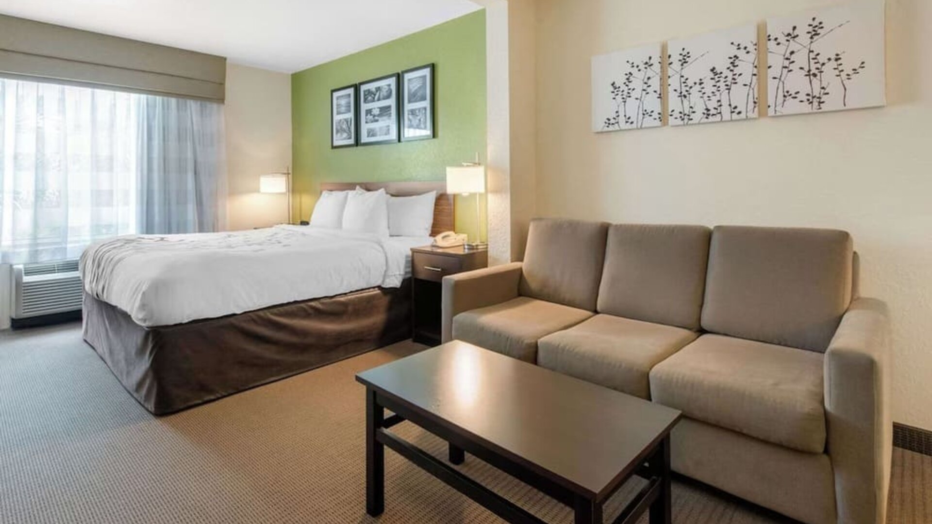 Day use room at Sleep Inn & Suites Port Charlotte - Punta Gorda.