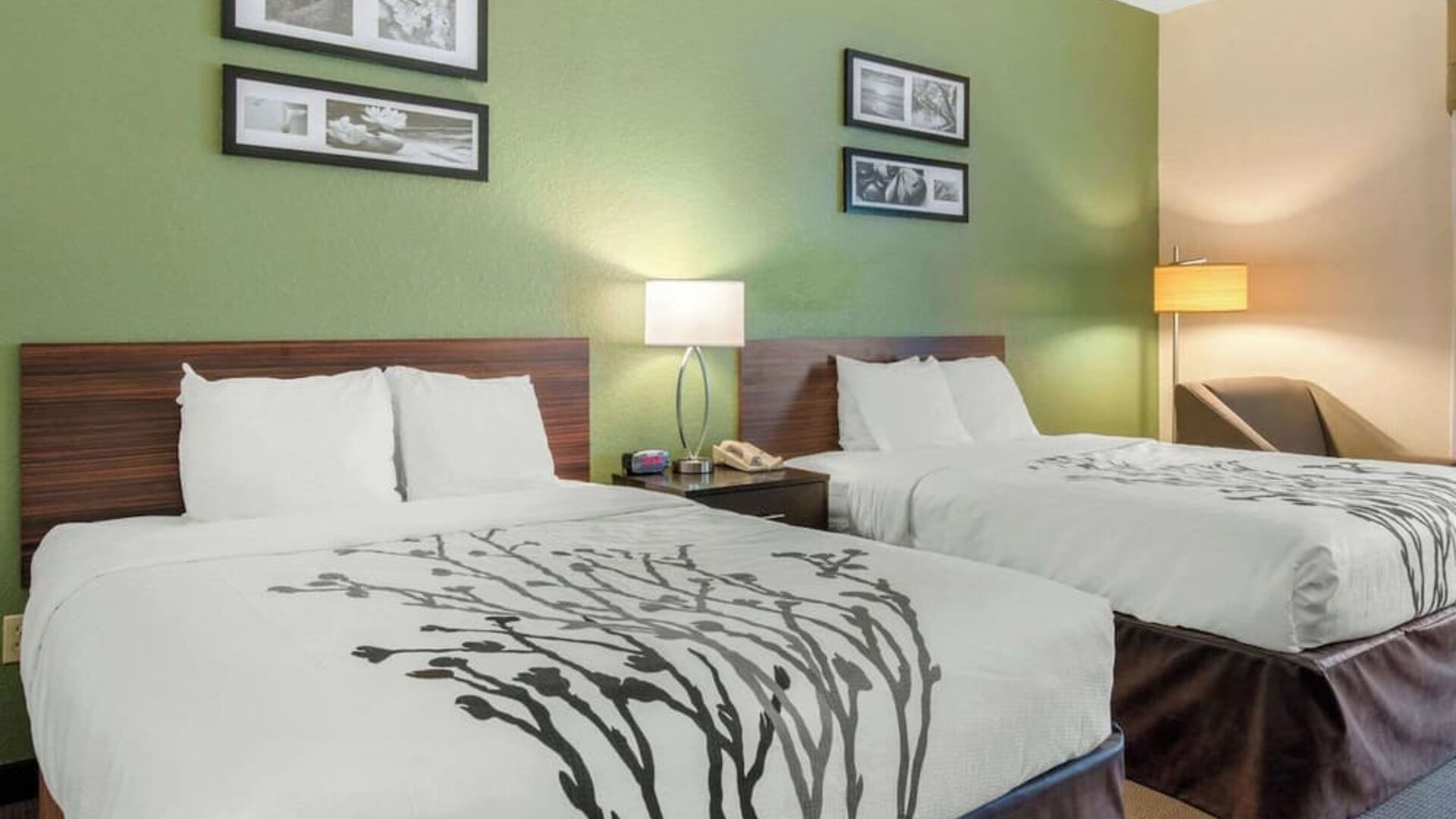 Day use room at Sleep Inn & Suites Port Charlotte - Punta Gorda.