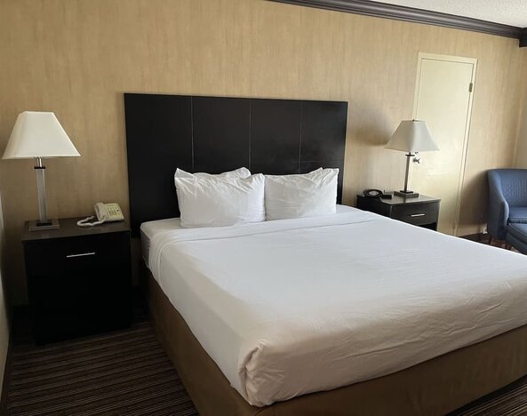 Day use room at Wyndham Garden Schaumburg Chicago Northwest.