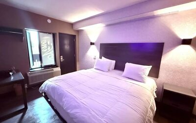 King room at THE VINE HOTEL BRONX.