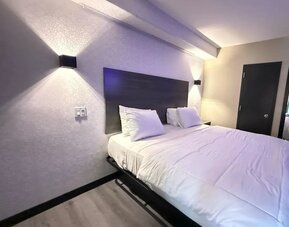 King room at THE VINE HOTEL BRONX.