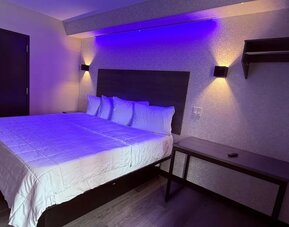 King room at THE VINE HOTEL BRONX.