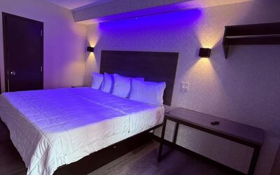 King room at THE VINE HOTEL BRONX.