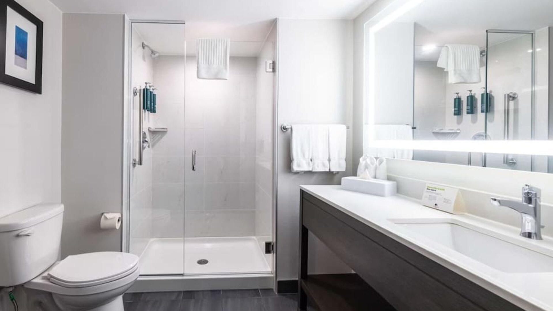 Guest bathroom at DoubleTree By Hilton Calgary North.