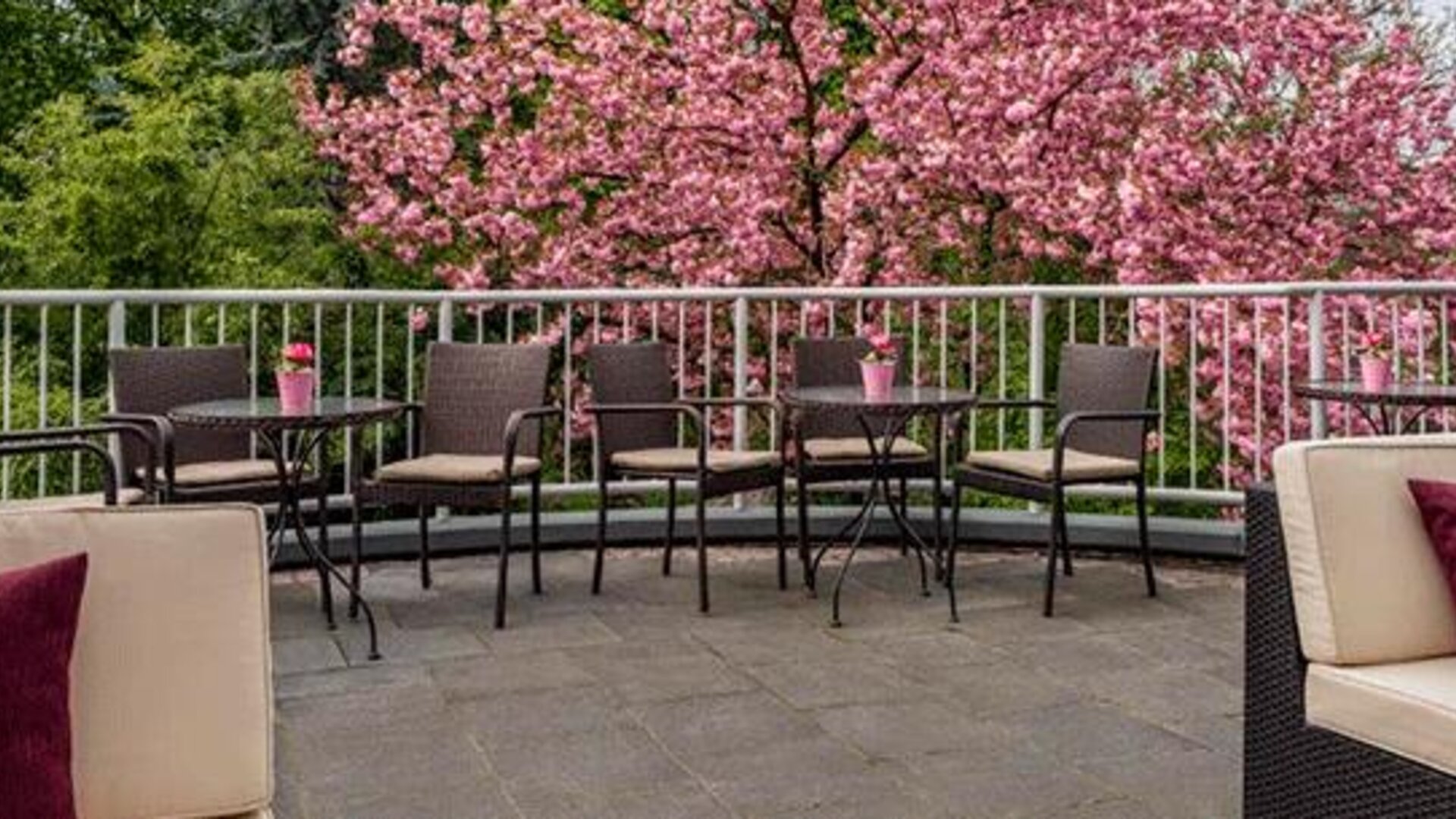 Best Western Plus Hotel Stadtquartier Haan