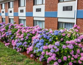 Hotel exterior at Hyannis Plaza Hotel.