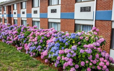 Hotel exterior at Hyannis Plaza Hotel.