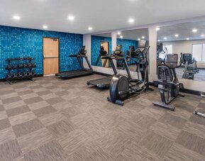 Gym at La Quinta Inn & Suites By Wyndham Roswell.