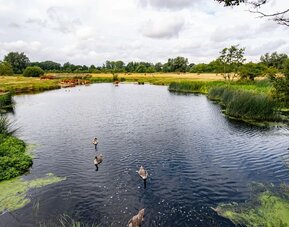 Lake at The Mill Hotel - Surya Hotels
