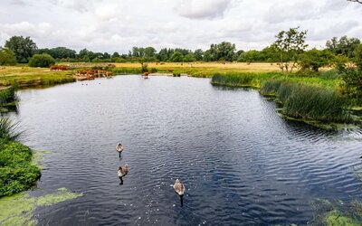Lake at The Mill Hotel - Surya Hotels
