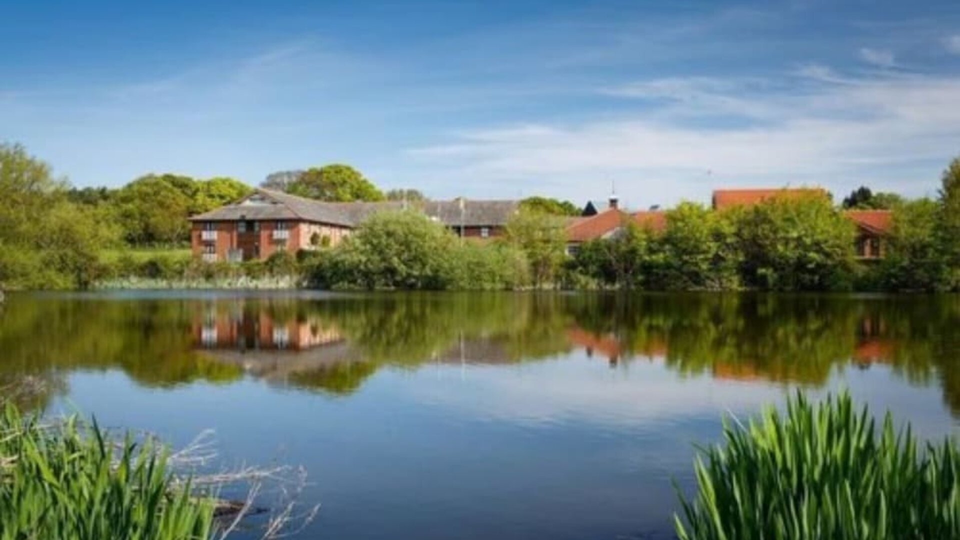 Lake at Dragonfly Hotel Colchester - Surya Hotels.