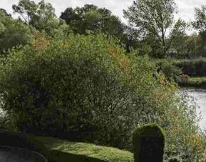 Lake at Dragonfly Hotel Colchester - Surya Hotels.