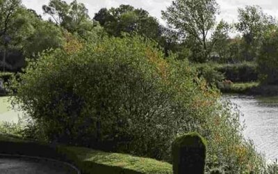 Lake at Dragonfly Hotel Colchester - Surya Hotels.