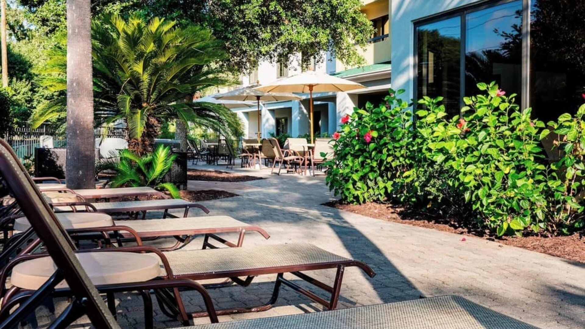 Loungers at Courtyard by Marriott Myrtle Beach Barefoot Landing.