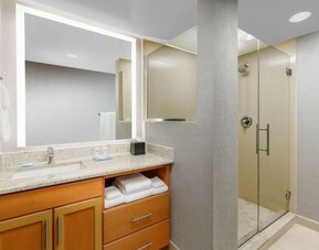 Bathroom at Hyatt HOUSE Fort Lauderdale Airport-South & Cruise Port.