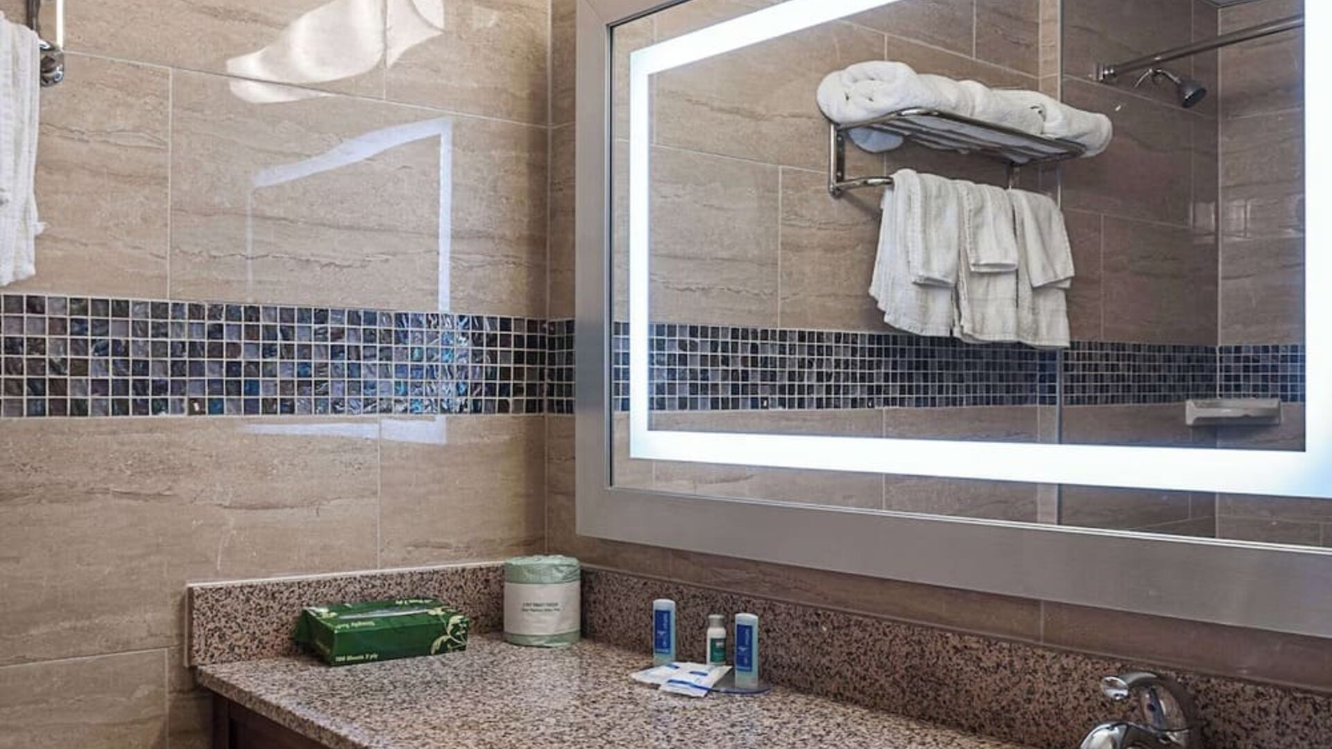 Bathroom at Rodeway Inn Meadowlands
