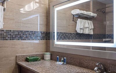 Bathroom at Rodeway Inn Meadowlands
