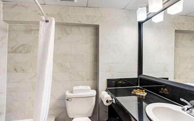Bathroom with shower at Best Western Plus Newark Airport West.