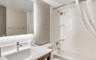 Guest bathroom at Holiday Inn Express Chicago - Downers Grove.