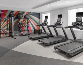 Fitness center at Hilton Garden Inn Queens/JFK Airport with treadmills, weights, and colorful mural wall.