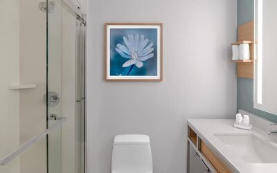 Bathroom at Hilton Garden Inn Queens/JFK Airport with glass shower, vanity, mirror, and blue accent wall.