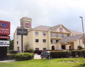 Roadside view with hotel building and branded sign near landscaped greenery at Comfort Suites Bush Intercontinental Airport.